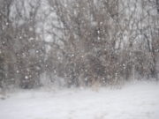 АНХААР:Өнөөдөр зарим нутгаар цас орж, цасан шуурга шуурна rsz_tsag_agaariin__medee