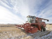 Цасаар шуурч, тариалангийн бүс цасанд дарагджээ! tarialangiin_bus