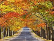 Нутгийн зүүн хагаст хур тунадас орж, сэрүүснэ tsag agaar