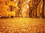 Улаанбаатарт 21 хэм дулаан, хур тунадас орохгүй tsag_agaariin_medee