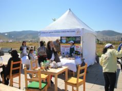 Цэцэрлэгт хүрээлэнд ил задгай хоол худалдахыг хориглов undesnii-tsetserlegt-hureelen