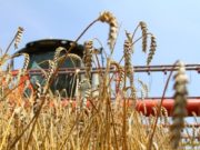 Ургац хураалтад оролцох хүсэлтэй оюутны тоо нэмэгдэж байна urgats_huraalt