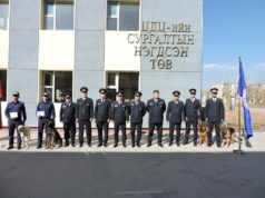 Үүрэг гүйцэтгэх зургаан НОХОЙГ бэлтгэв albanii-nohoi