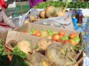 Налайх дүүрэгт “АЛТАН НАМАР” ургацын баяр болно altan_namar_odorlog