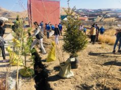 САЙН МЭДЭЭ: Баянзүрхчүүд 6380 мод тарьжээ mod-tariw