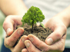 Бүх нийтээрээ МОД тарих үндэсний өдөрт нэгдэцгээе… mod_tarih-odor