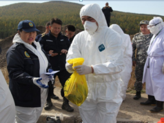 Тарваган тахал өвчнөөс урьдчилан сэргийлэх ажил хийгдэж байна tarwagan-tahal
