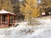 САЙН МЭДЭЭ: “Төр хурх-Цэцээ гүн” чиглэлийн замыг тохижуулав tor_hurhiin_am