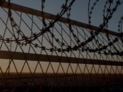 Монгол Улсын 174 иргэн гадаадада ял эдэлж байна yaltan