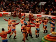 “Чингис хааны мэндэлсэн өдөр”-т зориулан чансаа өндөр 128 бөх барилдана bohiin-barildaan-128