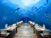 Энэтхэгийн далайн 4.8 метрийн гүнд зочид буудал сүндэрлэв dalain-gunii-zochid-buudal-03