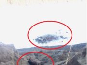 Тариалангийн талбайд орсон гурван адууг эрэг рүү унагажээ! gatsuurt-kompany