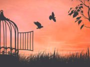 Хайрын нөгөө далавч нь ЭРХ ЧӨЛӨӨ hair-ba-erh choloo