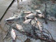 Тор ашиглан загас барьж байсан иргэдийн шалгаж байна! huuli-bus-an