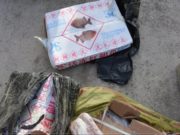 Загас, нугасны мах зэргийг хууль бусаар оруулж иржээ huuli-busaar-hunsnii-buteegdehuun-oruulaw