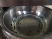 “MGL ramen” хятад хоолны ресторанаас ЖООМ гарав! hyatad-restoran-02