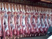 Монгол улс дэлхийн 8 оронд мах гаргаж байна mahnii-export