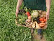 Хүнс үйлдвэрлэлийн салбарын үндэсний III чуулган болно organik-huns