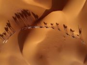 Шинэ өглөөг, шилдэг гэрэл зургуудаар эхлүүлье shildeg-zurag-09