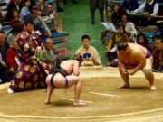 Сүмочдын цалин нэмэгдлээ sumo-boh