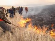 Баяндэлгэр сумын 5 га талбай түймэрт шатжээ! tuimer