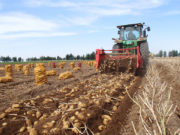 Төв аймгийн тариаланчид тариалсан ургацаараа тэргүүлж байна urgats-huraalt