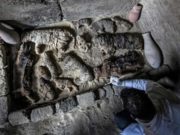 ЕГИПЕТ: Маш ховор занданшуулсан муурууд болон цохнууд олджээ zandanshuulsan-muur