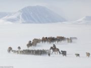 Архангайчууд зудын аюулаас сэргийлэх төлөвлөгөөг боловсрууллаа zud