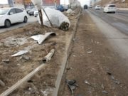 Согтуугаар машин барьж, гудамжны мод хашлагыг сүйтгэв! hashlaga-saad