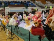 Шилдэг үсчин, гоо сайханчид шалгарлаа shildeg-uschin-goo-saihanch