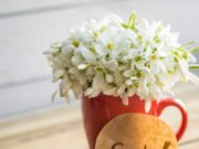 Өглөөний ашгийг өөртөө хүртье shine-ogloo