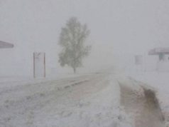 Цасан шуурга шуурч, цочир хүйтрэхийг анхаарууллаа tsasan-shuurga