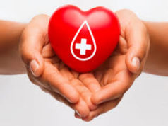 Өнөөдөр хүндэт доноруудад хүндэтгэл үзүүллээ tsusnii-hundet-doktor