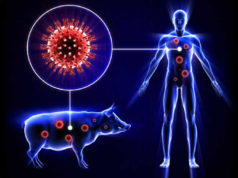 БАЯН-ӨЛГИЙ: Дөрвөн хүүхдээс H1N1 вирус илэрлээ! H1N1