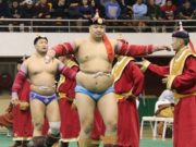 Сар шинийн бөхийн барилдаан энэ сарын 31-ээс эхэлнэ bohiin-barildaan