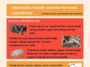 АНХААР: Гахайн мялзан өвчнөөс сэрэмжил! gahain-myalzan-owchnoos--sergiil