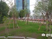 Нэг хүнд оногдох ногоон байгууламжийн хэмжээг нэмэгдүүлнэ nogoon-baiguulamj