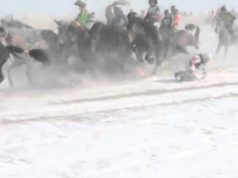 Унаач хүүхдүүдийн амь нас хохирч байна! owliin-morin-uraldaan