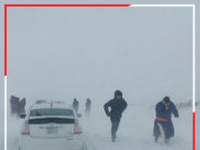 МХЕГ: Авто зам, тээвэрлэлтийн аюулгүй байдлыг хангуулах тухай ЗӨВЛӨМЖ seremjluuleg