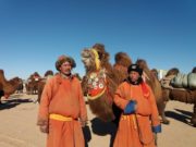 ӨМНӨГОВЬ: “Гурван түмэн тэмээ”-ний баяр боллоо temeenii-bayar-2019