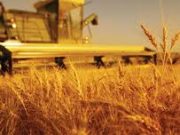 Улаанбуудайн тонн тутамд олгох МӨНГӨН урамшуулал батлагдлаа ulaanbuudain-uramshuulal