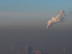 Ерөнхий хяналтын сонсголд иргэдийн төлөөлөл хэрхэн бүртгүүлэх вэ? utaa