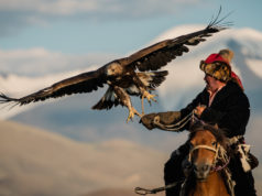 Ирэх сарын 3-4-нд ШИЛДЭГ БҮРГЭДЧИН тодорно burgediin-bayr-2019