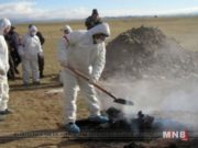 ХЭНТИЙ: Мал, амьтны халдварт “хорт салст халуурал” өвчин илэрчээ! hentii-aimag