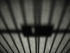 БУЛГАН: Хоригдлуудыг нийгмийн харилцаанд бэлдэж байна horigdol