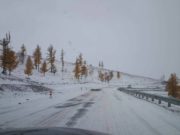 Жолооч та хол замд гарахдаа, болгоомжтой зорчино уу! oron-nutgiin-zam-2019