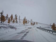 Жолооч та хол замд гарахдаа, болгоомжтой зорчино уу! oron-nutgiin-zam-2019