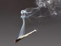 Тамхичдын амьд явах боломж 40 хувиар буурдаг! tamhi