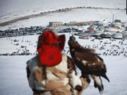 Уламжлалт бүргэдийн баяр боллоо burgediin-bayr-2019