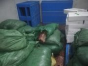 МХЕГ-аас хиам, махан бүтээгдэхүүний үйлдвэрүүдийг шалгаж байна hiamnii-uildwer